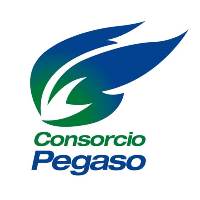 Consorcio Pegaso